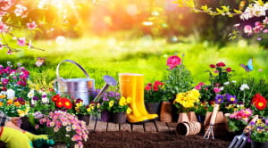 Get your garden ready for the summer flower garden